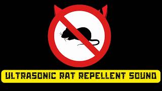Ultrasonic Sound to Scare Mouse & Rat 🔴 Anti Rat Repellent Sounds