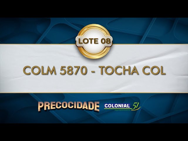 LOTE 08   COLM 5870