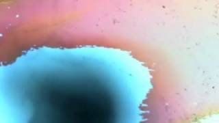 Удаление Байеровских Фильтров С Пзсматрицы