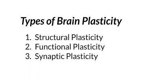 "Unlocking the Wonders of Brain Plasticity: A Fascinating Journey"