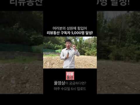 여러분의 성원에 힙입어 구독자 5,000명 달성! 진심으로 감사드립니다. #Shorts