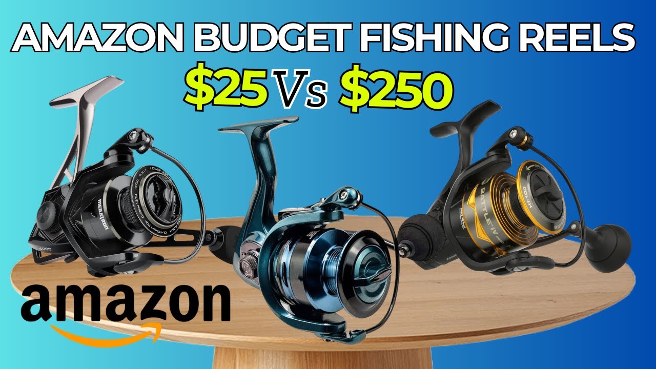 amazon fishing spinning reels Amazon $25 vs $250 Budget Fishing Reels (Top 10 Fishing Reels