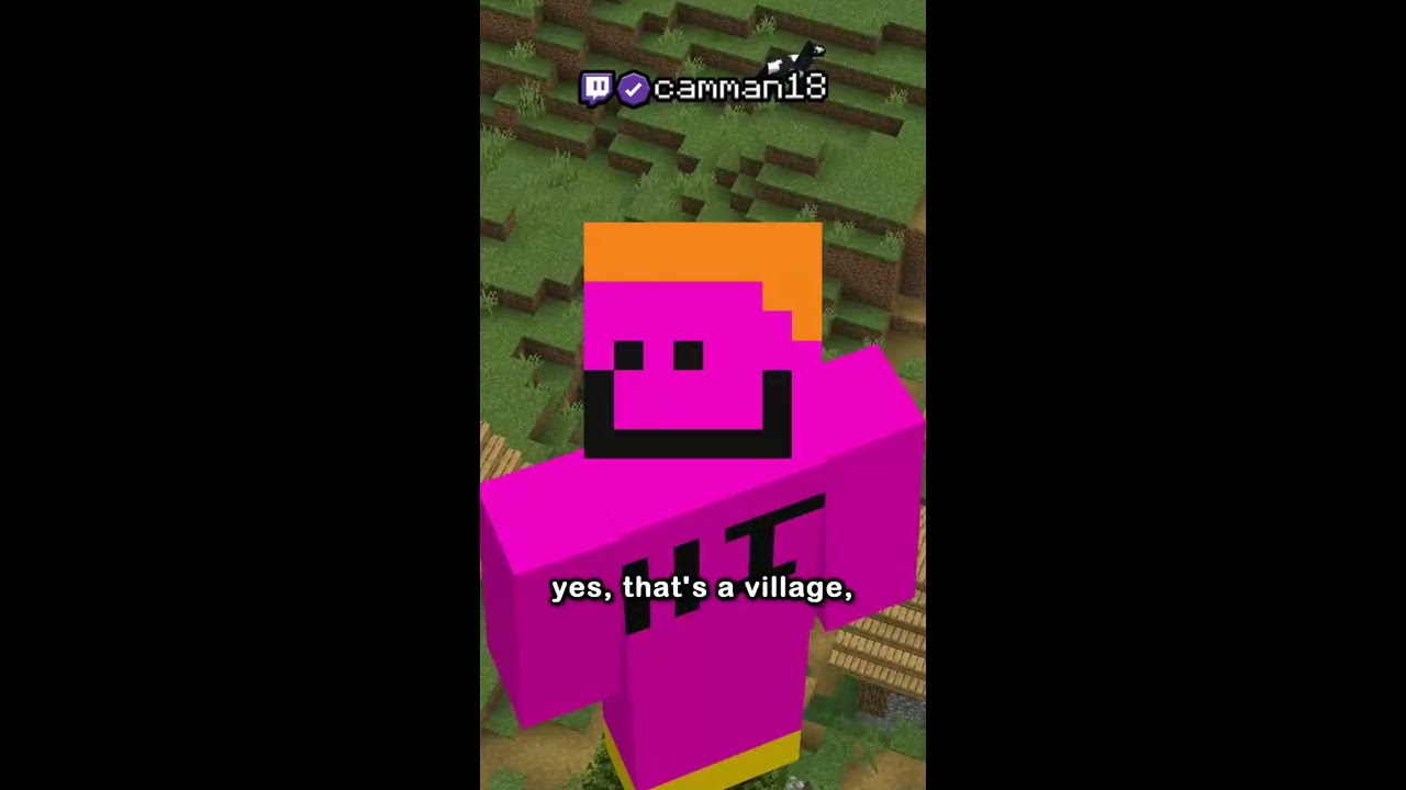 The Weirdest Minecraft Mod