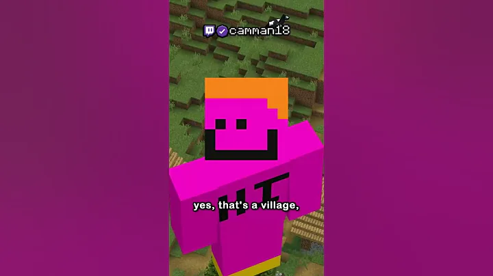 the weirdest minecraft mod