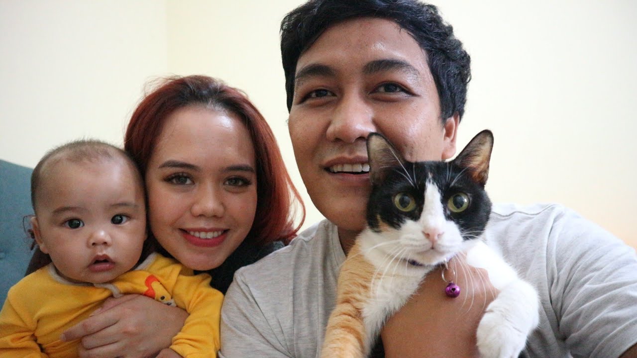 Begini Cara Ngawinin Kucing Cherry Si Kucing Doyan Kawin Begini Cara Ngawinin Kucing Cherry Si Kucing Doyan Kawin