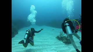 Hanging out at mermaids reef, Belize