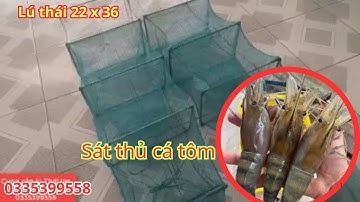 12 cửa ngục - lú thái lan khung 22 x 36 , sát thủ cá tôm