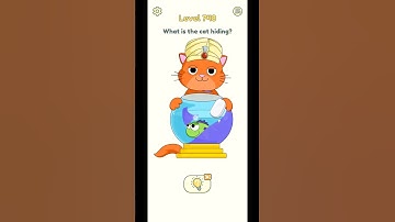 DOP 2 Level 748 Walkthrough - "What is the cat hiding?" #shorts