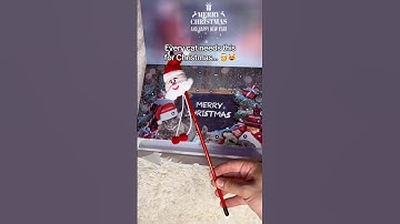 Tag that one cat lover 😽💕#cat #adventcalendar #christmas #pet #toys