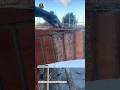 Perfect Brick Arch Construction | Masonry Skills That Are Satisfying to Watch