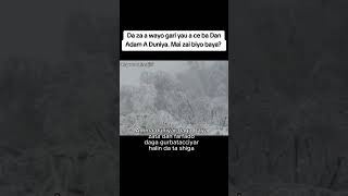8fe86c5ce0483b13a16a58f180616642