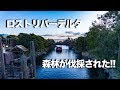 ロストリバーデルタで森林伐採!!  /  東京ディズニーシー