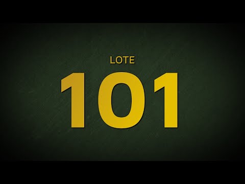 LOTE 101 - CSCQ 163