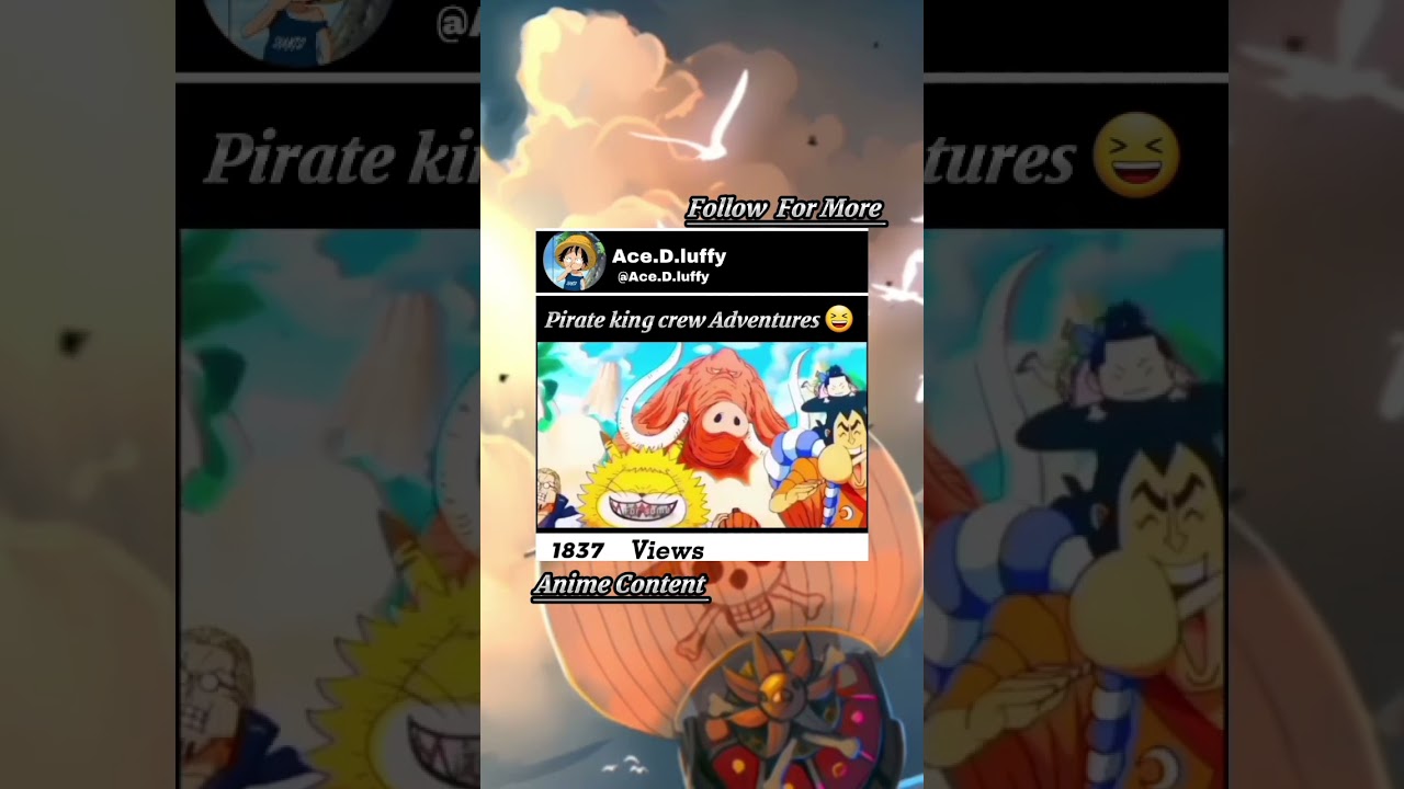 Pirate king crew adventures 😆 