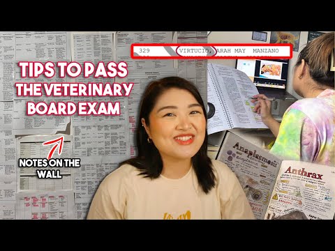 TIPS TO PASS THE BOARD EXAM!! (Veterinary Licensure Exam) | Arah Virtucio