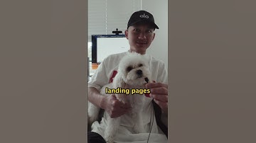 Talking Dog Weekly Vlog: Conversion Rate Optimization #shorts #worklifebalance #studyvlog