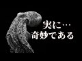 知れば知るほど奇妙な動物、タコ！（feat.タコの知能と進化）