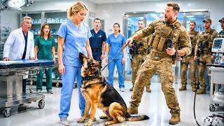 Navy Commander Mocked a Nurse Treating His K9—Her K9 Combat Expertise Revealed a $68 Million Scandal