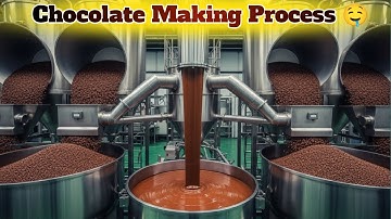 How Chocolate Is Made in a Modern Factory: The Full Process from Bean to Bar