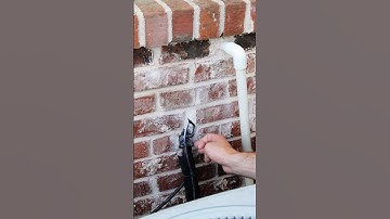 How to Rat Proof your Home | DoMyOwn.com #rodentcontrol