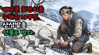 배고픈 호랑이를 구해준 나무꾼, 산삼밭을 선물로 받다.