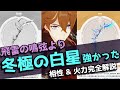タルタリヤ × 冬極の白星 の相性と火力を完全解説 | 飛雷の鳴弦、天空の翼、弓蔵、アモスとの火力分析【原神】