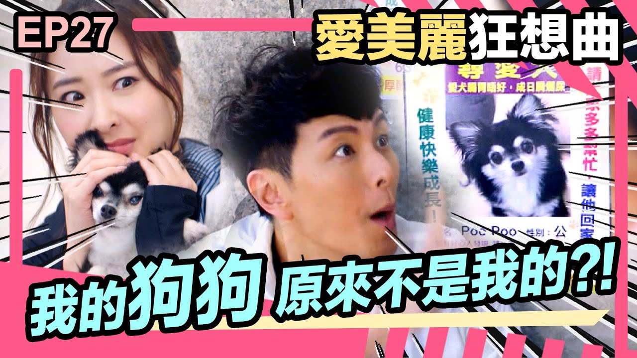愛美麗狂想曲精華 | 我的狗狗原來不是我的?!