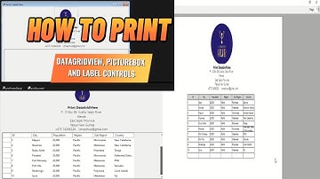 How to print Datagridview, Picturebox and Label controls | C# Windows Form | With Source code