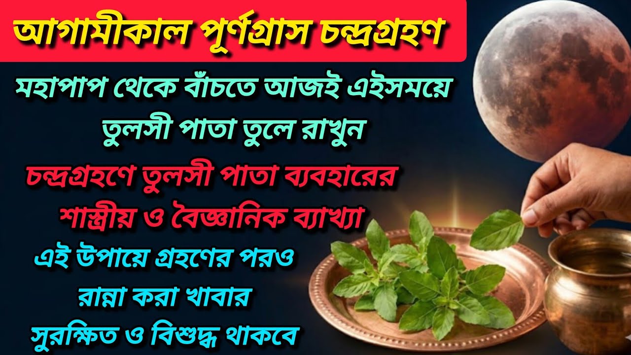 আগামীকাল চন্দ্রগ্রহণ। তুলসী পাতা তুললেই মহাপাপ। গ্রহণের পর রান্না করা খাবার নিশ্চিন্তে খান।