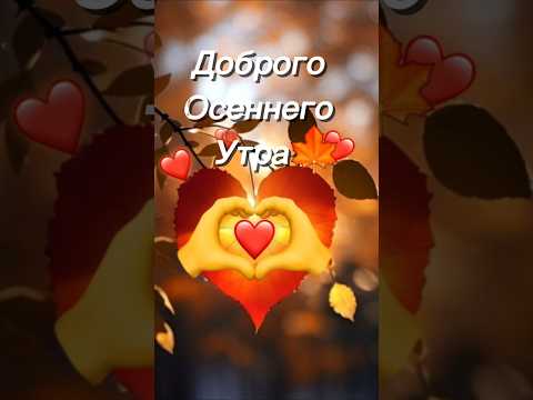 Доброго осеннего утра🍁 #доброеутро #осень #пожеланиясдобрымутром