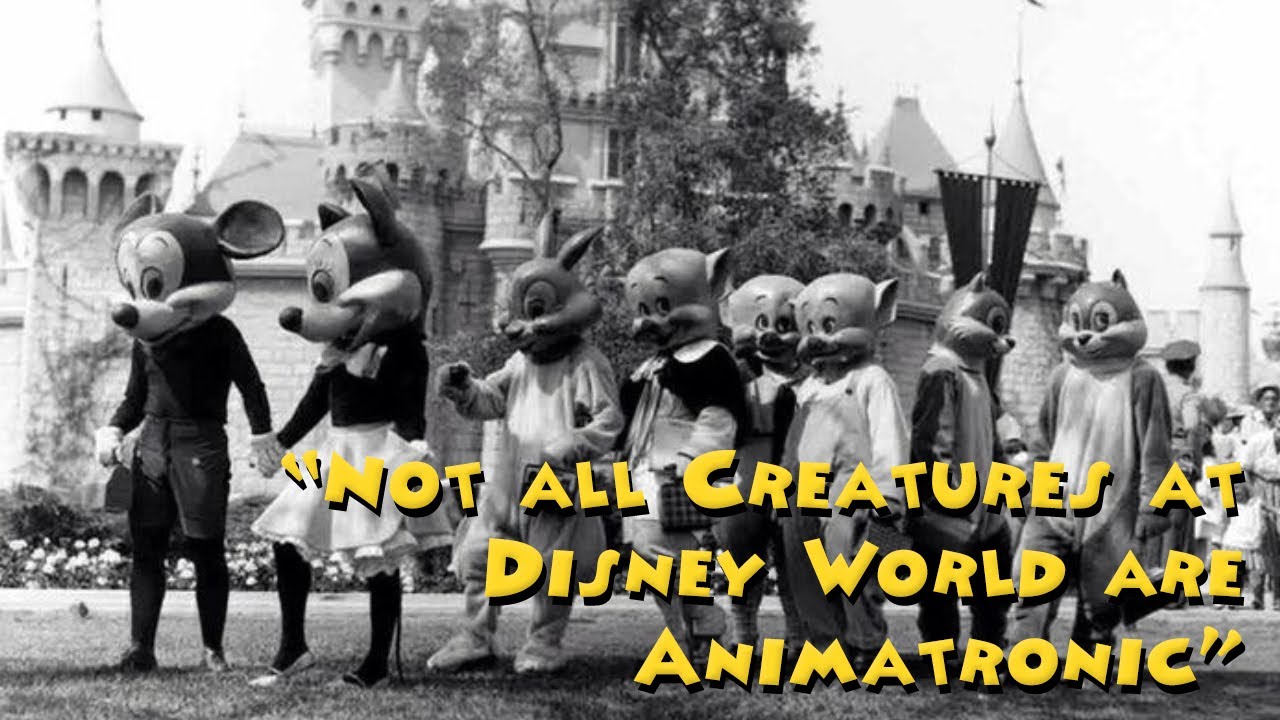 «Не все существа в Диснейленде — аниматроники» Disney Creepypasta