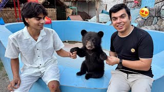 Zoo Mein Baby Bear Agea 😍 Surprise 