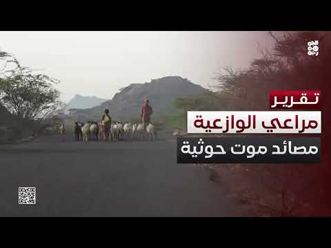 ألغام الحوثيين تحرم رعاة الوازعية من مراعي الماشية وتعيق حياتهم