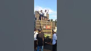 prasasti audio karnaval plampangrejo banyuwangi