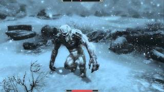 Skyrim funny fight interuption with grand final