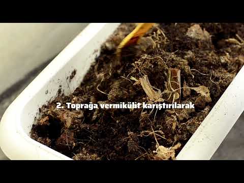 Video: Vermikülitle Bahçecilik - Vermikülit Kullanımları ve Bilgiler