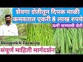 शेवगा शेती तून दिपक माळी कमवतात एकरी 8 लाख रुपये/drumstick farming,shevaga sheti.