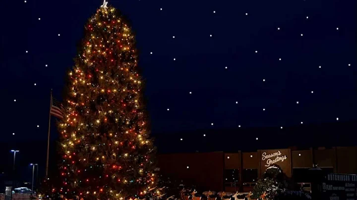 "Rock'in Around The Christmas Tree" by Jeff Pittin...