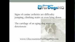 Can Dogs Take Human Glucosamine Pills Can Dogs Take Human Glucosamine Pills