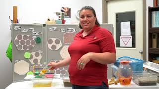 Soil Health Demonstration: Soil Texture