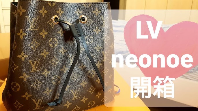 Louis Vuitton Neo Noe Review – Lux & Pups