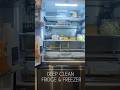 DAY 1 - FRIDGE AND FREEZER CLEAN