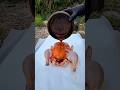 outdoor cooking food#outdoors #coking #foodrespi#cokingwithlifestyleiqrazeeshan #foodshorts
