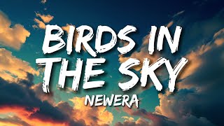 Birds in The Sky *Lyrics* NewEra