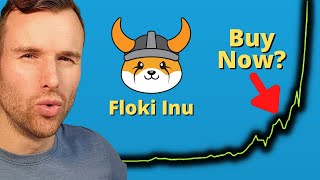 Why Floki Inu is up  Crypto Token Analysis