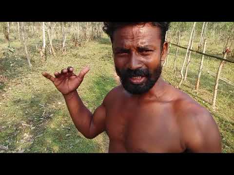D. P.-BP ଭାଇରସ କେମିତି ଜାଣିବା ||💥HOW TO BP CONTROL🙏DAIBETC EXERCISE AT HOME 😭💥🤔
