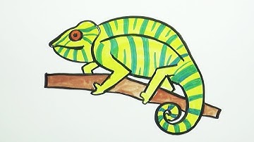 How to draw a chameleon easy step by step Coloring 4 kids | #tipitoyarts