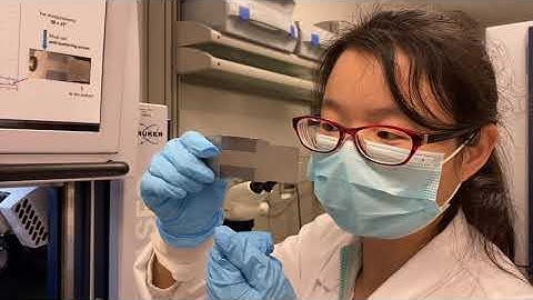 Basic XRD training on D2 phaser