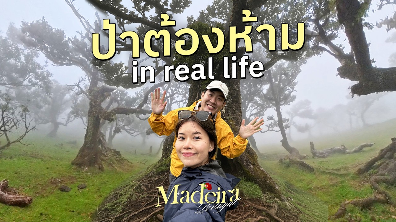 Road Trip โปรตุเกส, เกาะมาเดรา ฮาวายแห่งยุโรป #เที่ยวลืมบ้าน