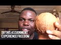 How to break family  ancenstral curse using coconut